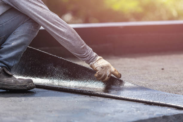 Professional Basement Waterproofing technician working in Parrottsville, TN